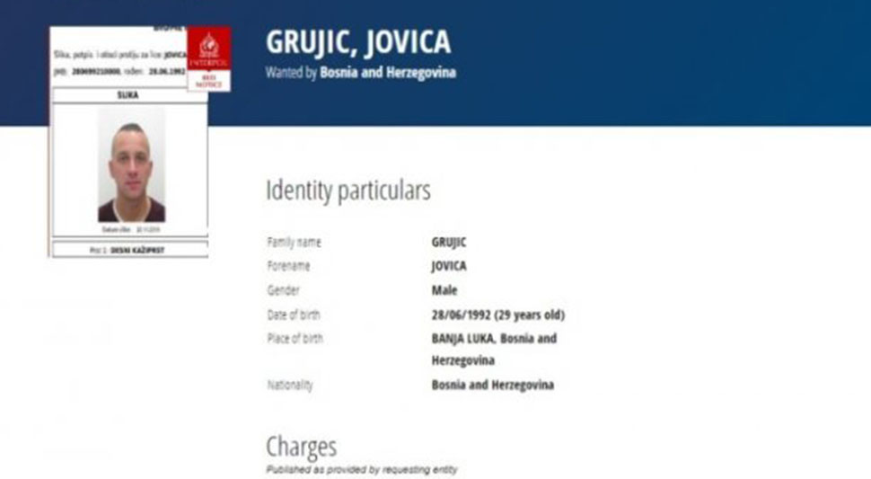 jovica grujic.jpg